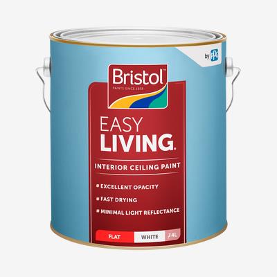 Easy Living Ceiling Paint