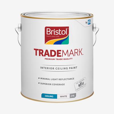 Trademark Ceiling Paint